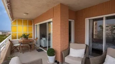 Apartment in Los Arenales del Sol photo 3