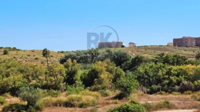 House in Gran Alacant photo 22