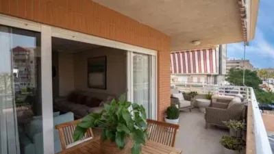 Apartment in Los Arenales del Sol photo 4