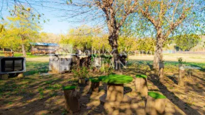 Rustic house in Sant Pol de Mar photo 39