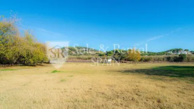 Rustic house in Sant Pol de Mar photo 28