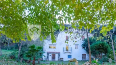 Rustic house in Sant Pol de Mar photo 19
