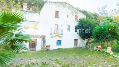 Rustic house in Sant Pol de Mar photo 15