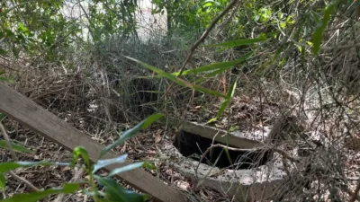 Terreno en venta en Guardamar del Segura - Vista 5