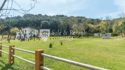 Rustic house in Sant Pol de Mar photo 31