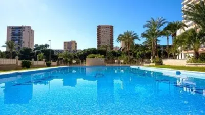 Piso en Plaza de la Playa Paraíso photo 31