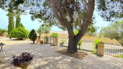 House in Algorfa photo 68