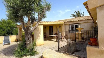 House in Algorfa photo 65