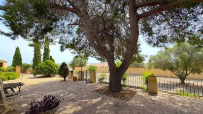 House in Algorfa photo 67