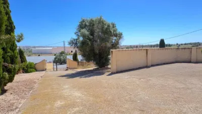 House in Algorfa photo 72