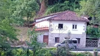 House in Bustiello (Proaza) photo 6