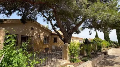 House in Algorfa photo 80