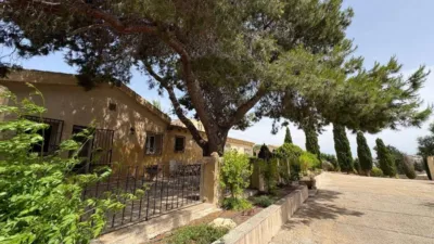 House in Algorfa photo 81