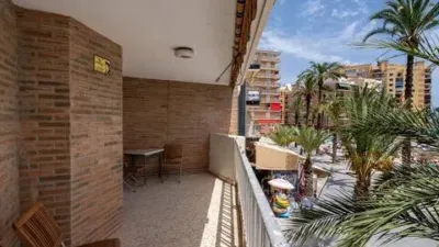 Pis – Torrevieja - Vista 3