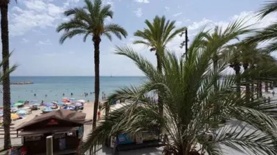 Pis – Torrevieja - Vista 4