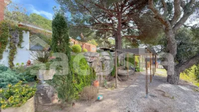 House on Carrer de les Gavines photo 52