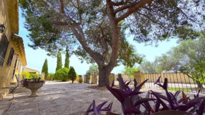 House in Algorfa photo 63