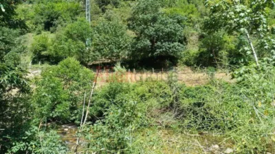 House in Bustiello (Proaza) photo 24