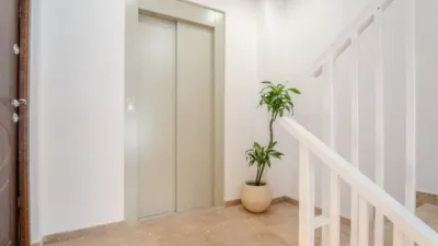 Piso – Alacant / Alicante, les Carolines Baixes, l'Alacantí - Vista 2