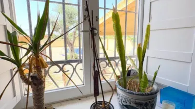 House in Algorfa photo 28