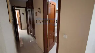 Apartment in Adra photo 11