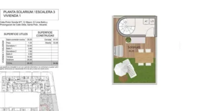 Penthouse on Carrer Otilia photo 9
