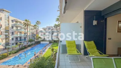 Apartment in Fenals-Santa Clotilde photo 13