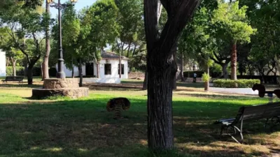 Chalet for sale in El Castillo de Las Guardas photo 58