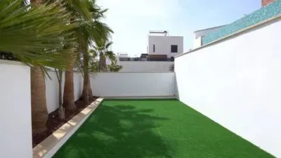 Chalet in Algorfa photo 53