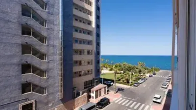 Pis – Torrevieja - Vista 2