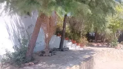 Chalet in Guillena photo 10