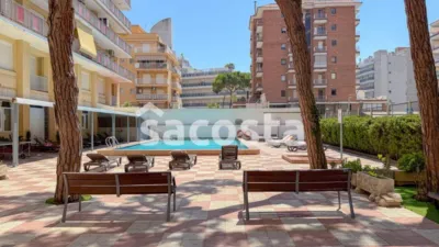 Apartment in Els Pins photo 2