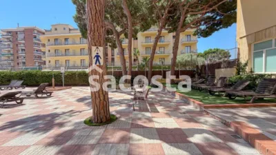 Apartment in Els Pins photo 3