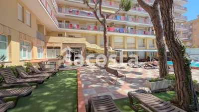 Apartment in Els Pins photo 18
