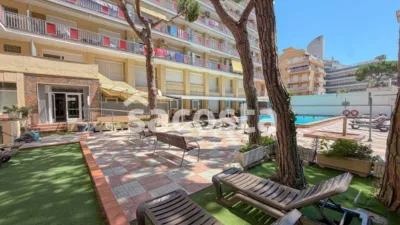 Apartment in Els Pins photo 17