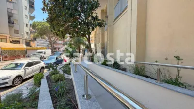 Apartment in Els Pins photo 12