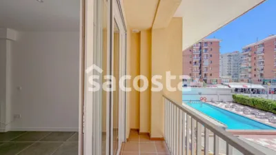 Apartment in Els Pins photo 4