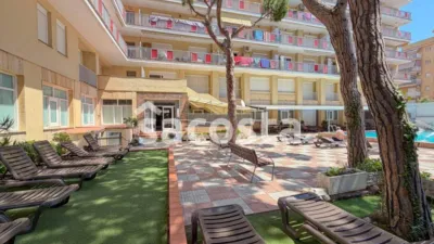 Apartment in Els Pins photo 27