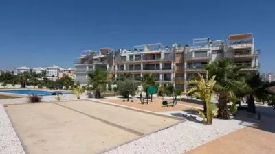 Apartment on Calle Pimienta photo 29