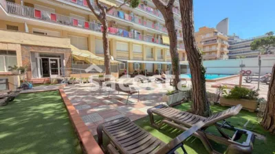 Apartment in Els Pins photo 28