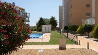 Apartment on Calle Pimienta photo 26