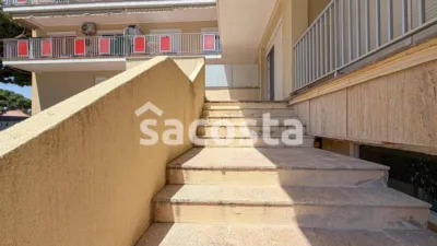 Apartment in Els Pins photo 26