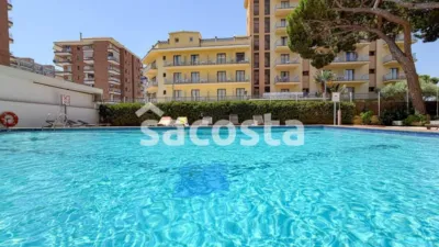 Apartment in Els Pins photo 16