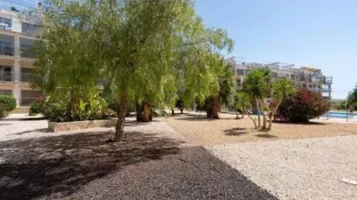 Apartment on Calle Pimienta photo 30