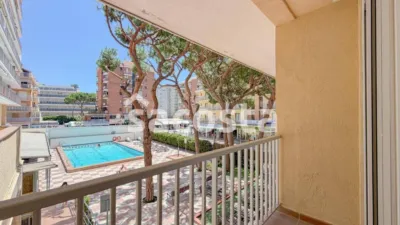 Apartment in Els Pins photo 16