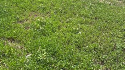 Terreno en venta en Liáns-Porto de Santa Cruz - Más