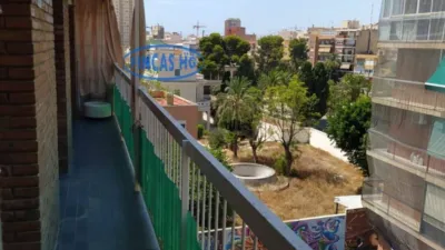 Pis – Alacant / Alicante, Campoamor, l'Alacantí - Vista 2