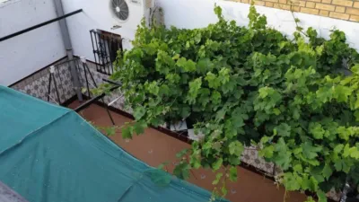 House in Guillena photo 47