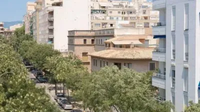 Apartment on Carrer de Joan Crespí photo 10