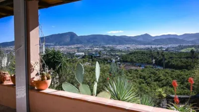 Villa in El Romeral-Santa Amalia photo 7